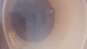 آنباکس و تجربه خرید