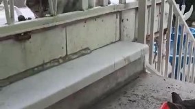 آنباکس و تجربه خرید