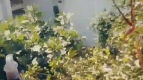 آنباکس و تجربه خرید