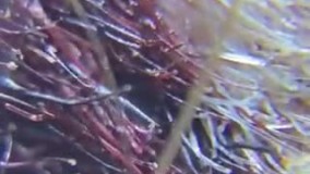 آنباکس و تجربه خرید