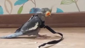 آنباکس و تجربه خرید