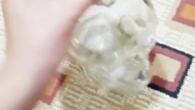 آنباکس و تجربه خرید