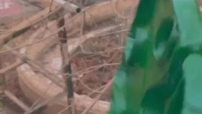 آنباکس و تجربه خرید