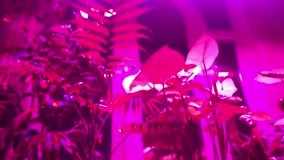 آنباکس و تجربه خرید