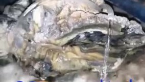 آنباکس و تجربه خرید