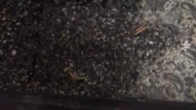 آنباکس و تجربه خرید