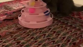 آنباکس و تجربه خرید