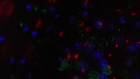 آنباکس و تجربه خرید