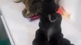 آنباکس و تجربه خرید