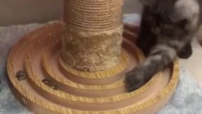 آنباکس و تجربه خرید