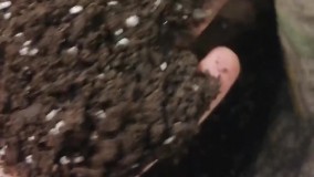 آنباکس و تجربه خرید