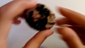 آنباکس و تجربه خرید