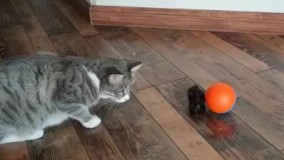 آنباکس و تجربه خرید