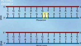 انیمیشن مفهومی جهش! +09044686613 پکیج ژنتیک کنکور