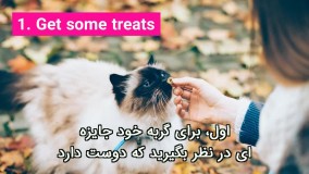 چطور اسم گربه را به او آموزش دهیم؟