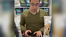 از کجا بفهمیم غذای سگ وگربه رفلکس اصل هست یا تقلبی؟