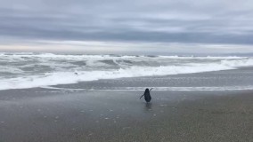 مهدی میرزائی آهنگ کنار تو