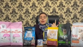 برای بچه گربم چه غذایی بخرم؟