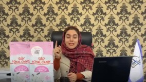 آشنایی با غذای رویال کنین مادر و بچه گربه