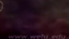 پکیج جامع ژنتیک تنها 299 هزار تومان!