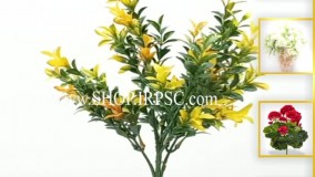 انواع بوته مصنوعی اناری ابلق | فروشگاه ملی