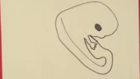 معرفی شهید کاظمی آشتیانی