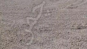 نصب چمن مصنوعی فوتبالی به همراه زیرسازی