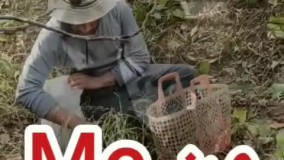 ارمیس دیالوگ ماندگار