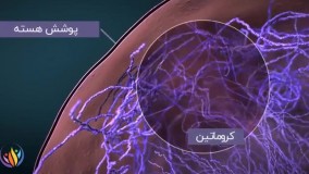 انیمیشن جذاب زیست گیاهی!