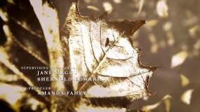 سریال آنه شرلی - فصل دوم - قسمت 9