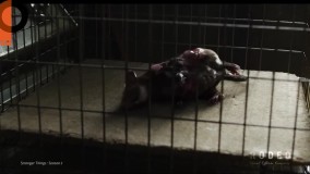 دموی نرم افزار مایا