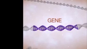 پکیج ژنتیک رایگان به مناسبت یلدا!