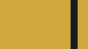 نمونه کار لوگو موشن توسط تیم نهال آی تی*موشن گرافیک