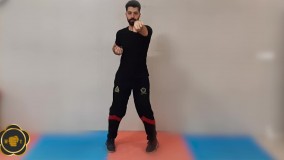 فرم سیو نیم تائو