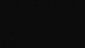 نمونه کار پریمیر نهال آی تی* دانلود پروژه آماده پریمیر*پروژه آماده پریمیر مخصوص عروسی