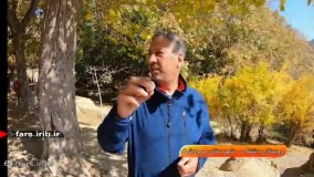 طبیعت بسیار زیبای " دشتک مرودشت "