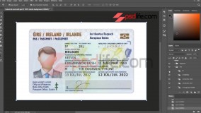 fake id templates ireland | employee id card template psd free download | Government id card templates