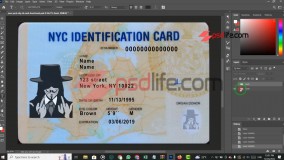 fake id template new york | new york state id psd | Government id card templates