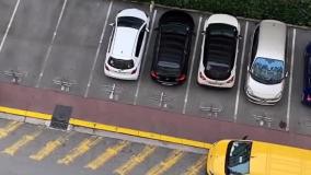 پرنده کاغذی جالب