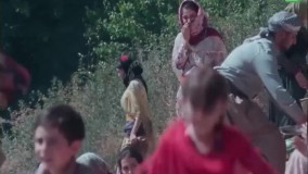 فیلم دکور درخت گردو