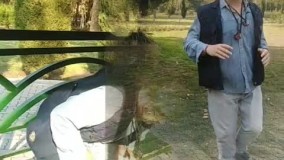 ارمیس رویای شهرت