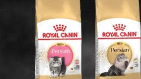 غذاهای خشک رویال کنین با تنوع بالا موجود شد