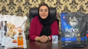 معرفی کامل برند رفلکس (غذای سگ رفلکس و رفلکس پلاس)