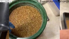 کارگاه پرورش کرم میل ورم-کرم میلورم-(دسته بندی میل ورم ها براساس سایز)