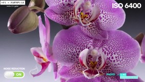 عکاسی با دوربین-آموزش ژست عکاسی-تنظیمات Iso مناسب دوربین شما