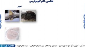 پرورش ماهی خاویاری - پرورش ماهی -  اصول بهداشتی و درمان بیماری های رایج