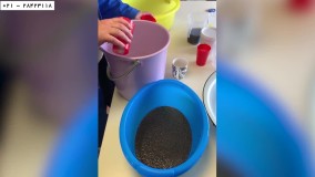 پرورش ماهی خاویار در منزل-تکثیر بچه ماهی خاویاری-خارج کردن خاویار