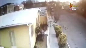 ‏مرگ ناگهانی صدها پرنده در آسمان مکزیک