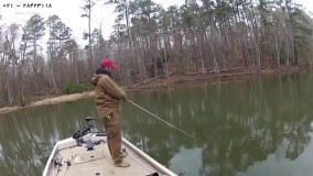 آنلاین ماهیگیری - ماهی گیری با دست  ( تعقیب خارماهی پیش از تخم ریزی )