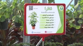 آیین افتتاح مجتمع نمایشگاهی _تحقیقاتی گل و گیاه رضوی